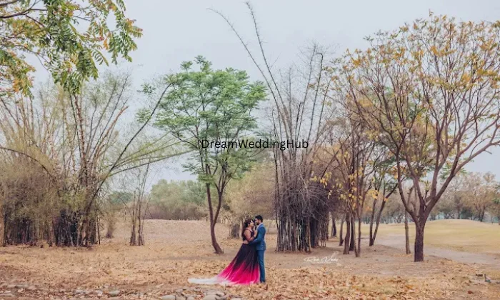 Chapha The Essence of Events